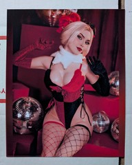 Harley Quinn 8×10 Photo Print Sexy Model Picture Cosplay DC Comics