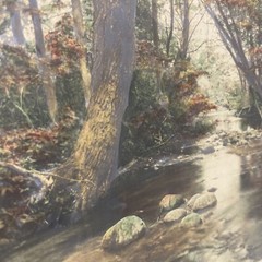 AQ Fred Thompson “Woodland Symphony” Original Hand Tinted Photograph Signed 7×9”