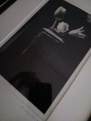 Framed Signed Dated PHOTOGRAPH Black & White Flowers/Vase 1989-14.75″H X 12″L