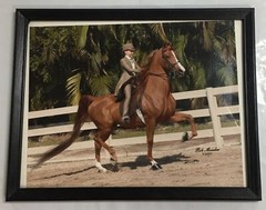2007 Bob Moseder Horse and Rider Framed Photography 11.5″ x 9″