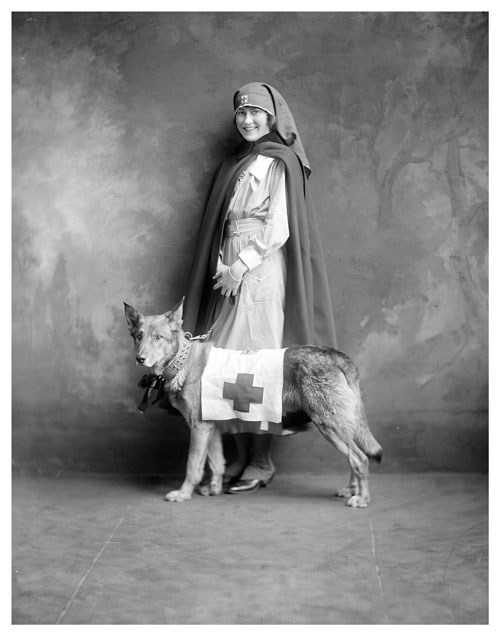 Circa 1915 Red Cross Nurse In Uniform With Dog Silver Halide Photo