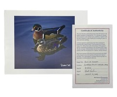 Pair Of Woodies Wood Ducks Print By Bob Kulon Photo Authentic COA 2009 8.5”x 11”