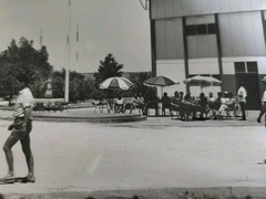 TOTAL Oil Exploration 1950 Photo 24 X 19 Hassi Messaoud /Alain Pol No16