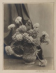 1920s «Marigolds» Bouquet Of Flowers In Vase Antique Bromide Photo Wilbur Taylor