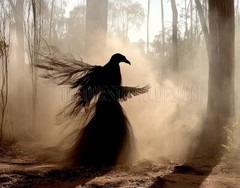 Digital Image Chaos Picture Wallpaper Background Desktop Art Download