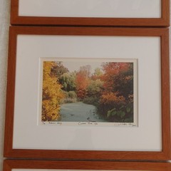 Michael Chen Signed Limited Edition Photo Set of 3 Matted & Framed Central Park