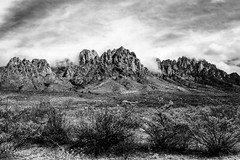 Organ Mountains Chihuahuan Desert New Mexico Black and White Photography Print