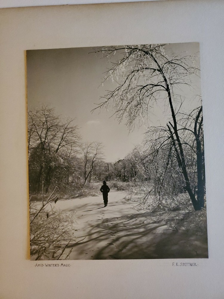 AMID WINTER’S MAGIC ORIGINAL SIGNED ART PHOTO B&W STETTNER VTG MATTE NJ CAMERA