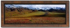 Thomas Mangelsen ‘After The Ice Age’-Grizzly Bear, Ltd Edition/ FRAMED 1992