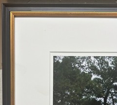 Vintage 2018 SUSANNAH HAYS ‘Bee Boxes Hives’ Datca TURKEY Landscape PHOTO