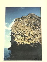 Galapagos photo «Monolith Intaglio» 2/100 Framed 17 x 13 Signed A Mishkin 1997