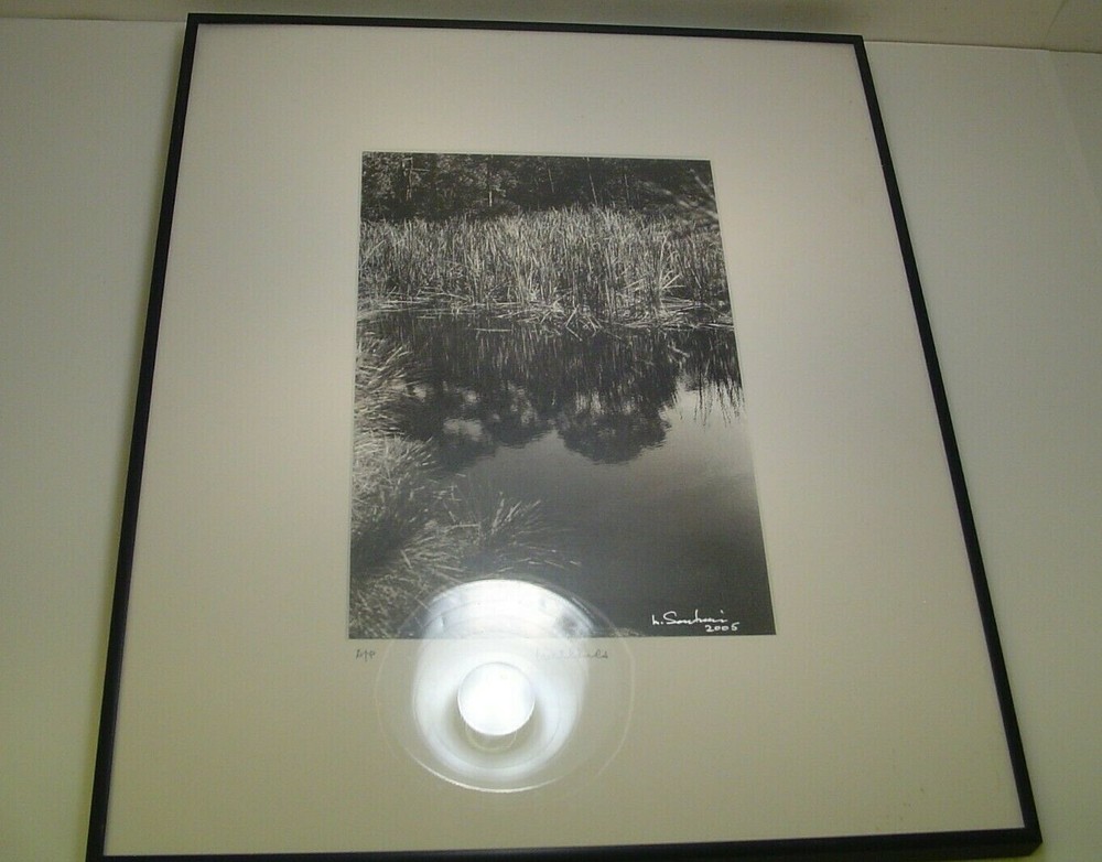 ART PHOTOGRAPHY «Wetlands» lake art black & white by L. Santucci Frame 16x20in