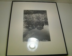 ART PHOTOGRAPHY «Wetlands» lake art black & white by L. Santucci Frame 16x20in
