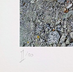 PixelPusher 9×12 Inch Archival Photography Print (Hahnemühle Paper) WC05 Italy