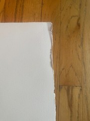 Ann Hamilton Signed and numbered Print titled, «Flectere,» 2000