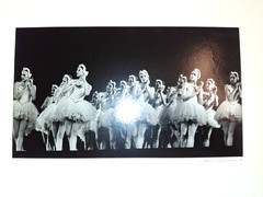 NYC Ballet Swan Lake in Rochester, NY 1978 Ballerina 6X10″ Gelatin Silver Photos