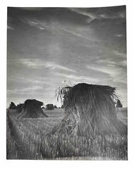 Vintage Large Black & White Photograph Photography Print Hay Harvesting Farming
