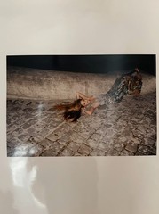 Juergen Teller x Devon Aoki Couture Shoot AW 2000 Set of Four Artist prints RARE