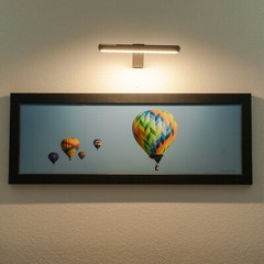 Balloon Fiesta Hot Air Balloons Framed Archival Print