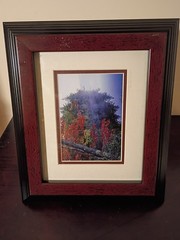5-Piece Framed Timothy Wolcott Fine Art Photography Collection 4 Signed 1 Not