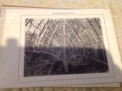 Vtg Antique Africa Photographs Signed J K Nature Waterfall Tree Bridge Swahili 7