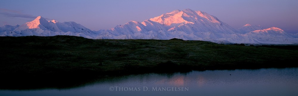Thomas Mangelsen, «Daybreak on Denali» Framed photograph #26/1200 16″×47″