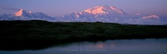 Thomas Mangelsen, «Daybreak on Denali» Framed photograph #26/1200 16″×47″