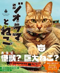 Diorama and Cats Photo Album