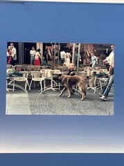 Lot Of 40 Vintage Budapest Hungary Vacation Amateur 35mm Color Slides ct39