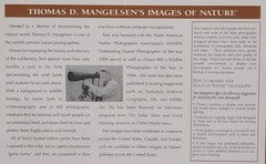 SIGNED Thomas D. Mangelsen, «Below The Alaska Range», 1993, Panoramic Photograph