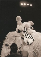 Vintage Marilyn Monroe 8×10 Photo Print – Hollywood Legend Poster wall art gift