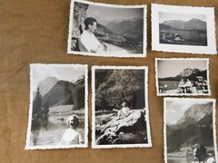 Assortment 8 Pieces Photos Altensee, Hintersee, «Magic Forest»!