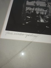 Johnny Donnels Glass Window Garden Signed New Orleans Photo Cracked Glass w/ Bio