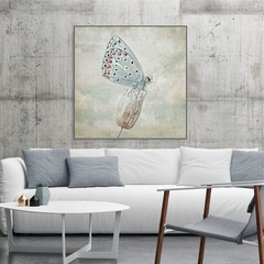 Blue Butterfly fine art photography print, Babies room, Girls room.