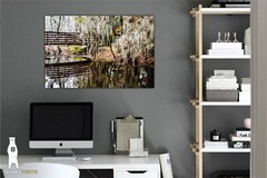 Phinizy Swamp – Fine Art Nature Photography by Bear8Photo