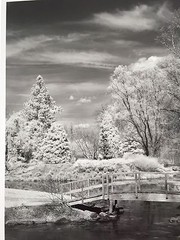 BRUCE BLUM SIGNED B&W Photo Print (19″X 24 «)-«Wooden Bridge»