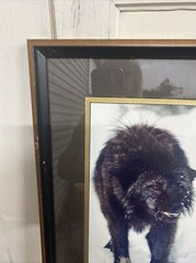 Tom Mussehl Lobo Love Wildlife “MAKE MY DAY” Wolf Photo Print w/ Name Plate