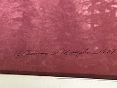 Thomas D. Mangelsen 1977 Vintage Signed Photo Print – Misty Forest Landscape 37/