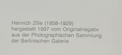 Heinrich Zille, the roses from the south, photograph from the estate, 1900/1997