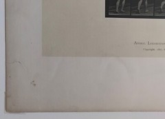 EADWEARD MUYBRIDGE authentic 1887 collotype ANIMAL LOCOMOTION PLATE 70 – lewitt