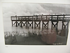 MATTED PHOTOGRAPHY Sou’ Wester Silhouette 16 x 20 A/P Bird Pier Larry Santucci