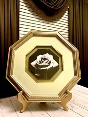 Beautiful Vintage Rose Black & White Octagon Matted Framed Art Print