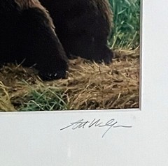 Art Wolfe Signed Wildlife Photograph Print/Framed 8×10 Bears