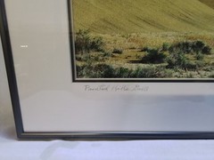 «Painted Hills Gold» – Framed Landscape Photograph by Gary Carlson