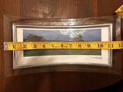 Carnoustie Hole 13 Par 3 Photographed And Signed By Pat Drickey 4”x10” Framed