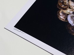 Fine Art Photography Print – Oysters – Artistic Food Photography