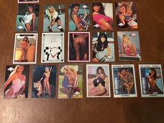 Vintage Adult Trading Cards lot (25) Hot Shots Bench Warmer+