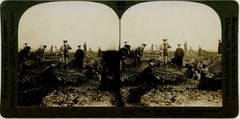 Stereo Photo British Royal Engineers Building Trenches of the… – 10770717