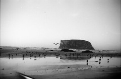 5 by 7 Black and White 35mm Film Photography Hand Made Darkroom Print Bandon OR