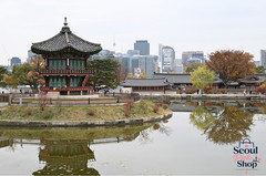 Seoul with the Royal Palace – Fine Art Photography Print by K.S. Song